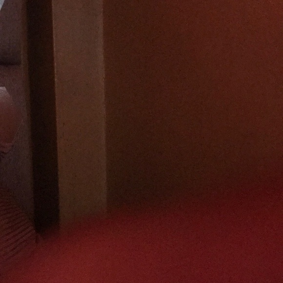 Meet your Posher, Dwight - Picture 1 of 1